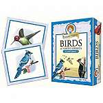 Prof Noggins Birds of NA