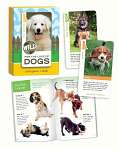 For the Love of Dogs Wild Card