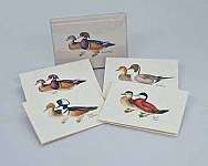 Duck Notecard Assortment 4 each of 2 styles