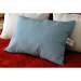 Healthcare Blue Nylon Pillow