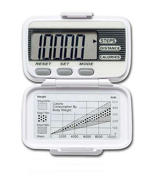 Digital Pedometer