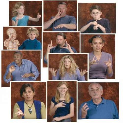 Educational Interpreting 1A-1L DVD Set