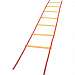 Economy Agility Ladder