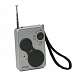 Weather Band AM/FM Radio with LED Light