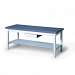 Professional Treatment Table with Shelf