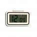 Safeguard Talking Alarm Clock