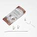 FocusEar PAL 1 Medium Tube, Right Ear, 2 Small ZTips