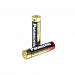 Williams Sound BAT 010 AAA Alkaline Batteries 2 Count