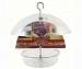 American Bird Dome Feeder 10 inch