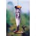 Amethyst Etched Hummingbird Lantern