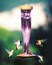 Amethyst HumBird Lantern