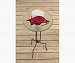Arkansas Razorbacks Glass Birdbath