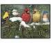Backyard Birds Doormat