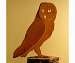 Barn Owl Bird Silhouette