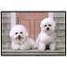 Bichon Frises Porch Doormat