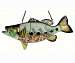 Bass Mesh Birdfeeder