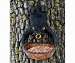 Bear Resin Tree Birdfeeder