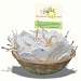 Basket of Blooming Silhouette