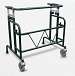 Walker 750lb. Capacity