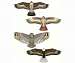 Birds of Prey Kite Assortment 12 pcs