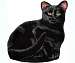 Black Cat Doorstop