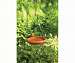 BirdBath Spice Round Hanging