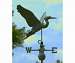 Blue Heron Weathervane Blue Verde Copper + FRT