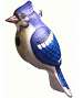 Blue Jay Birdhouse