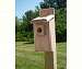 Bluebird Box Screen Top