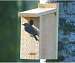 Bluebird House View Thru