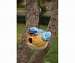Bluebird Portly Birdhouse