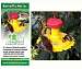 Butterfly Feeder  Nectar Combo