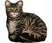 Brown Tabby Doorstop