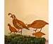 CA Quail Family Stake Set Bird Silhouette