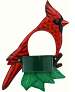 Cardinal Window Birdfeeder