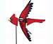 Cardinal Spinner
