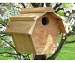 Carolina Wren House All Purpose