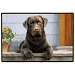 Chocolate Lab Porch Doormat