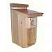 Coppertop Bluebird House