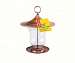 Copper Lantern Glass Feeder