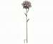 Dahlia Giant Patina Flower Stake