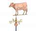 Dairy Cow Polished Copper + FRT