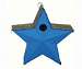 Country Star Birdhouse