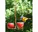 Double Fruit Feeder
