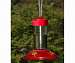 Dr. JB's 16 oz Clean Feeder All Red Feeder wYellow Flowers