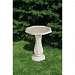 Deluxe Birdbath
