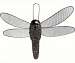 Dragonfly Fun Feeder