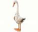 Duck Decor