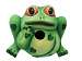 Frog Birdhouse
