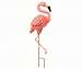 Flamingo Small
